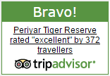 Trekking at Periyar Tiger Reserve